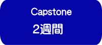 capstone 2週間