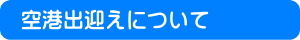 ジュニアサマー　空港出迎え