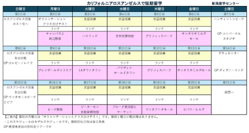 冬休み　アメリカ　LA短期留学