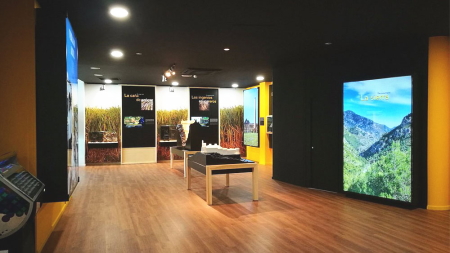 スペイン　ジュニアサマー　アクティビティ　ネルハ博物館