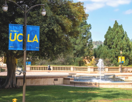 UCLA ロスアンゼルス　ジュニアサマー　