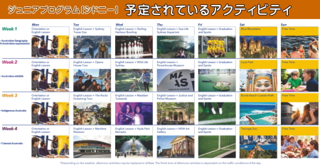 ジュニア留学　シドニー　アクティビティ