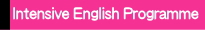 集中一般英語コース