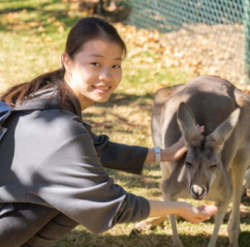 オーストラリア　ジュニア留学　動物保護
