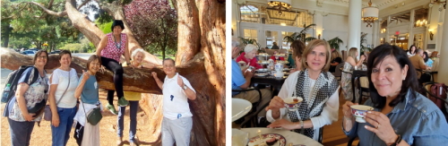 カナダ　シニア留学　ビクトリア