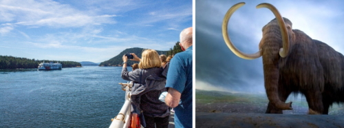 カナダ　シニア留学プログラム