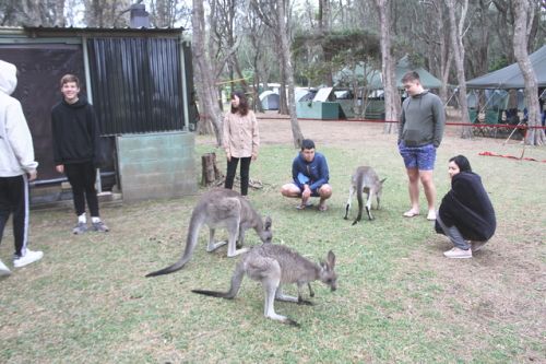 シドニー ワーキングホリデー応援パッケージ アクティビティ